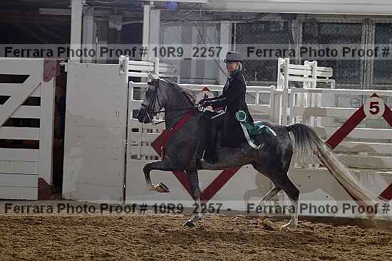 Proof Number 10r9_2257