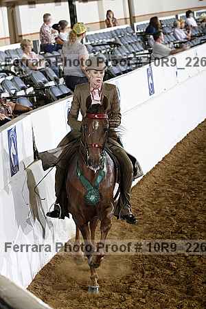 Proof Number 10r9_2263