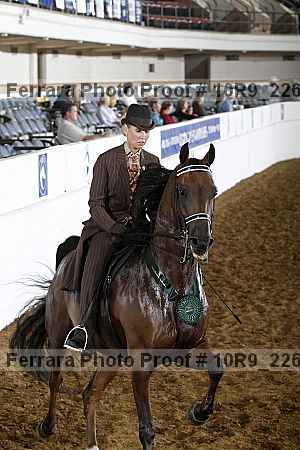 Proof Number 10r9_2265