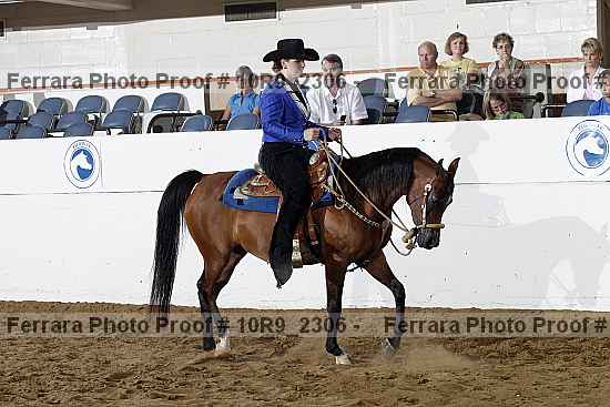 Proof Number 10r9_2306