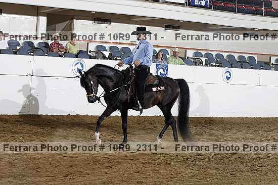 Proof Number 10r9_2311