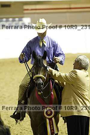 Proof Number 10r9_2317