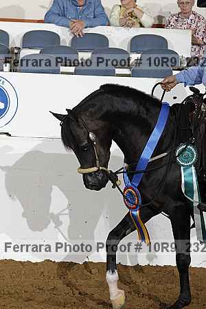 Proof Number 10r9_2325