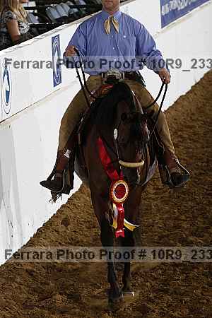 Proof Number 10r9_2335