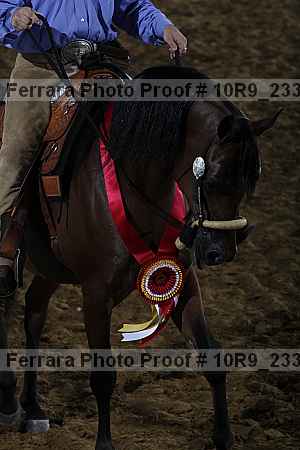 Proof Number 10r9_2337