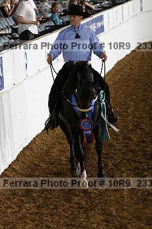Proof Number 10r9_2339