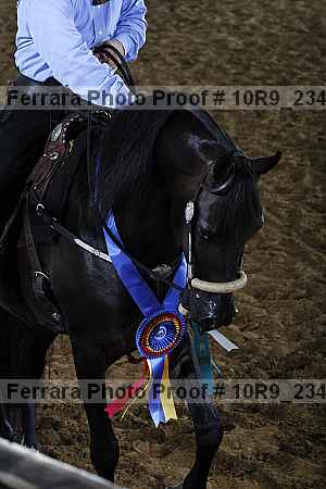 Proof Number 10r9_2341