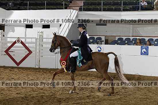 Proof Number 10r9_2366
