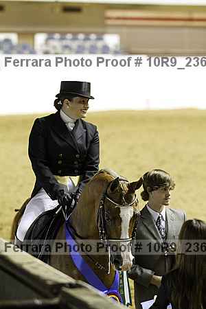 Proof Number 10r9_2367
