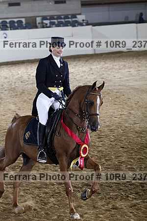 Proof Number 10r9_2377
