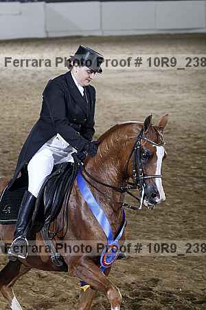 Proof Number 10r9_2381