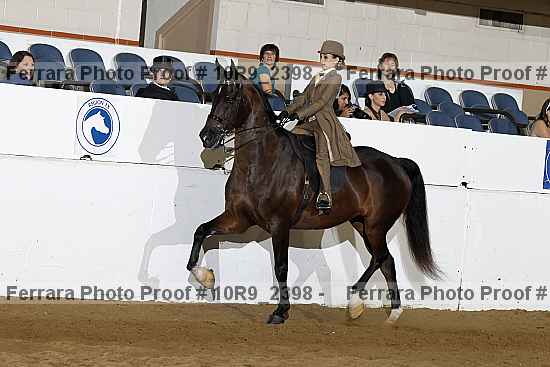 Proof Number 10r9_2398