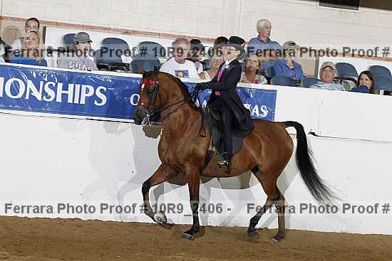 Proof Number 10r9_2406