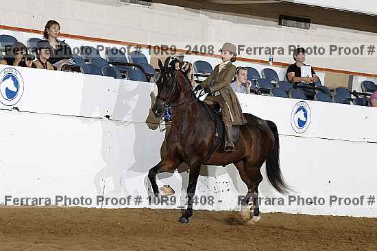 Proof Number 10r9_2408