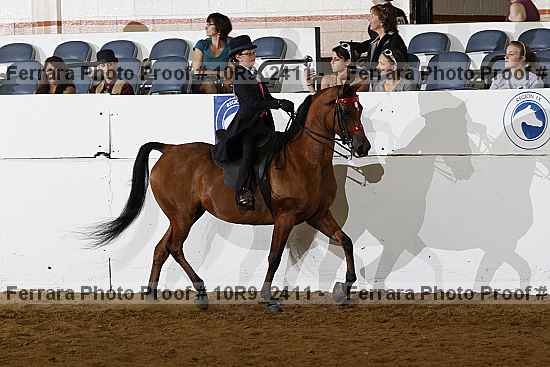 Proof Number 10r9_2411