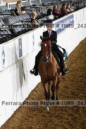 Proof Number 10r9_2425