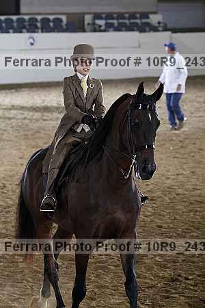 Proof Number 10r9_2430
