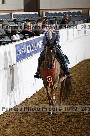 Proof Number 10r9_2435