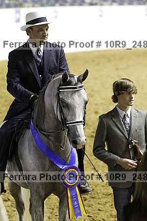Proof Number 10r9_2488
