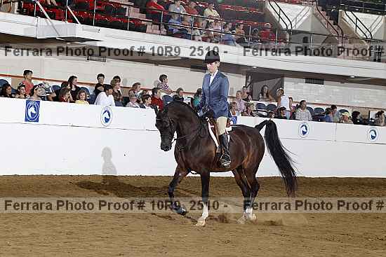 Proof Number 10r9_2510