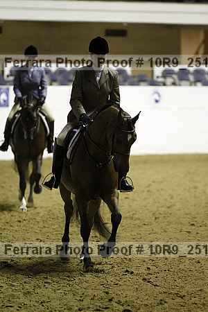 Proof Number 10r9_2513