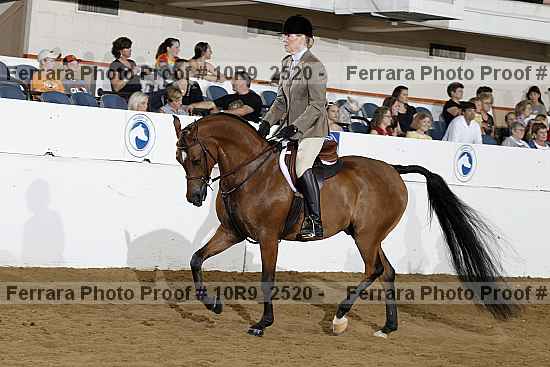 Proof Number 10r9_2520