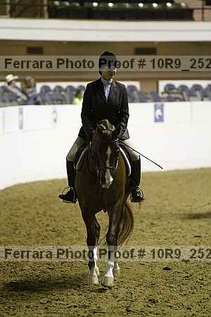 Proof Number 10r9_2525
