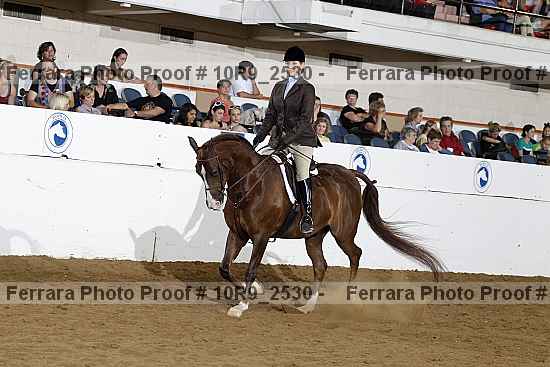 Proof Number 10r9_2530