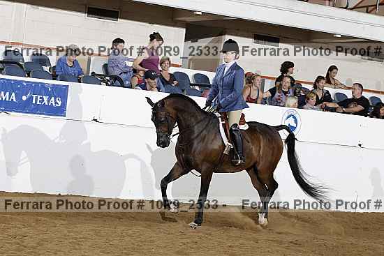 Proof Number 10r9_2533