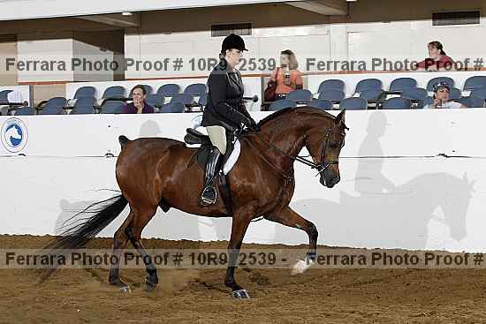 Proof Number 10r9_2539