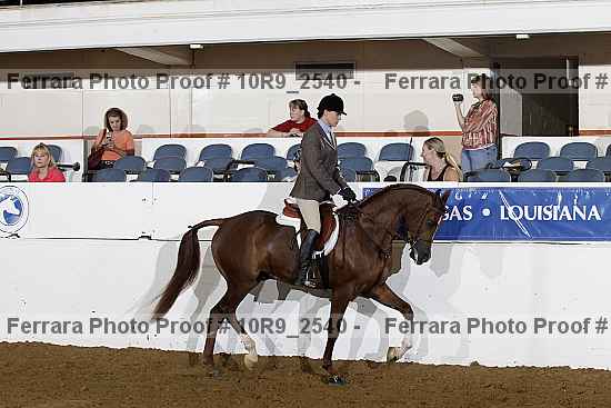 Proof Number 10r9_2540