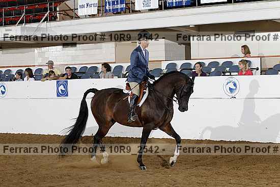 Proof Number 10r9_2542