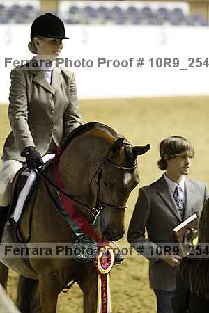 Proof Number 10r9_2543