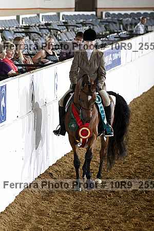 Proof Number 10r9_2559