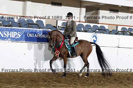 Proof Number 10r9_2561