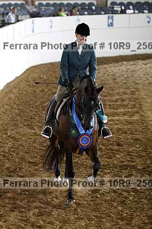 Proof Number 10r9_2563