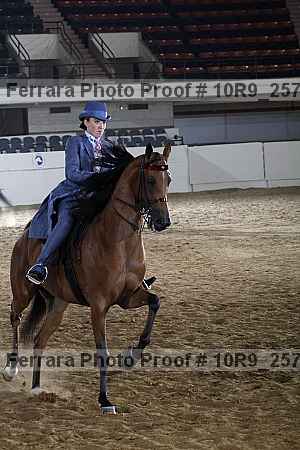 Proof Number 10r9_2578