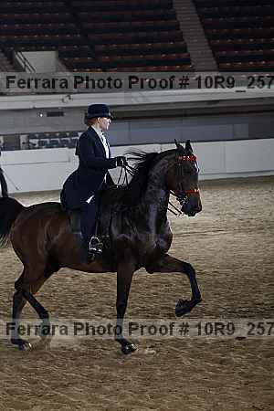 Proof Number 10r9_2579