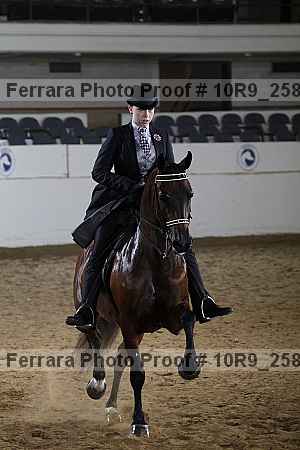 Proof Number 10r9_2581