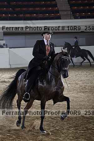 Proof Number 10r9_2582