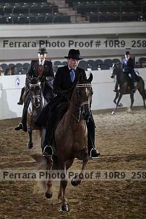 Proof Number 10r9_2586