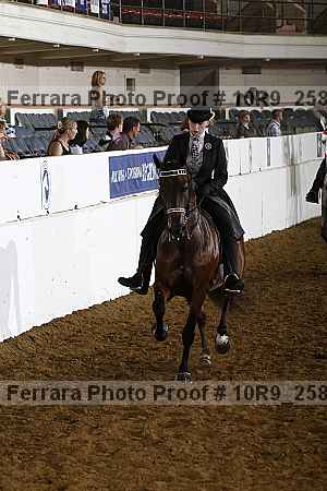 Proof Number 10r9_2589