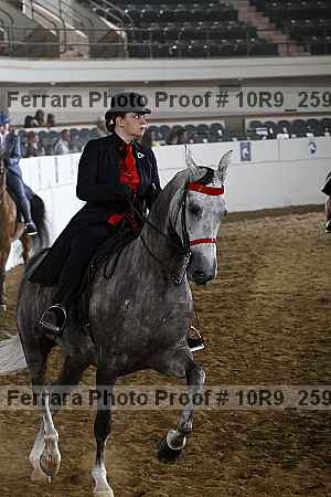 Proof Number 10r9_2590