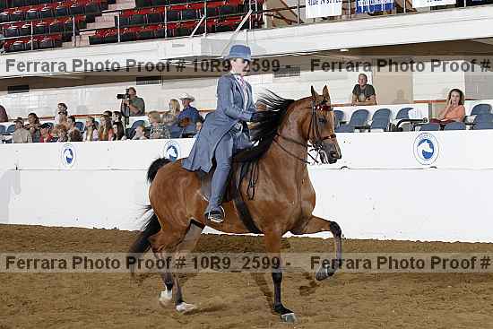 Proof Number 10r9_2599