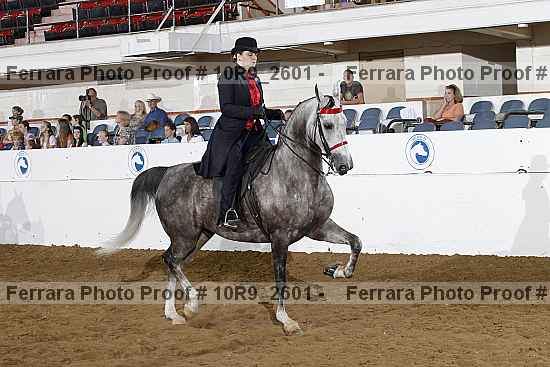 Proof Number 10r9_2601