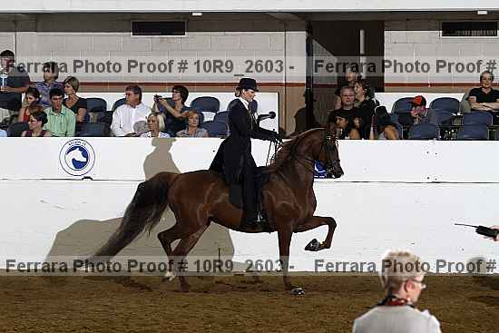 Proof Number 10r9_2603