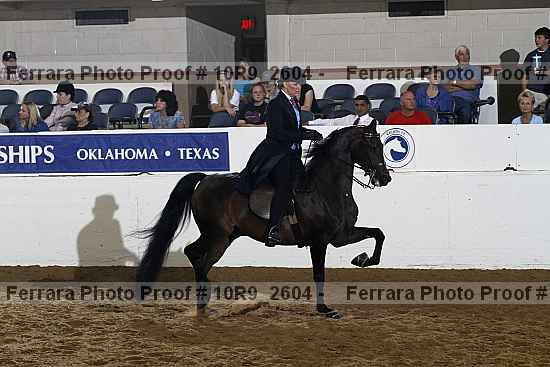 Proof Number 10r9_2604