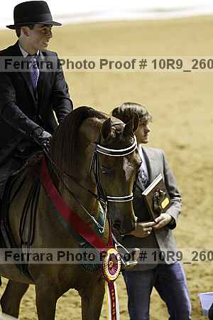 Proof Number 10r9_2609