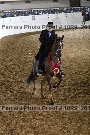 Proof Number 10r9_2618