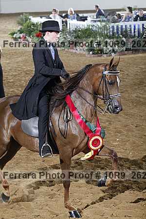 Proof Number 10r9_2620